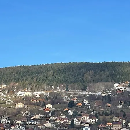 Bright Nest With Mountain View In Διαμέρισμα Gérardmer